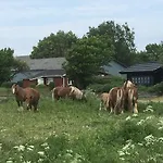 Skorstensfejerens Frühstückspension Bogense
