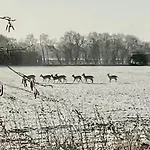 Skorstensfejerens Frühstückspension *