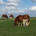 Frühstückspension Skorstensfejerens