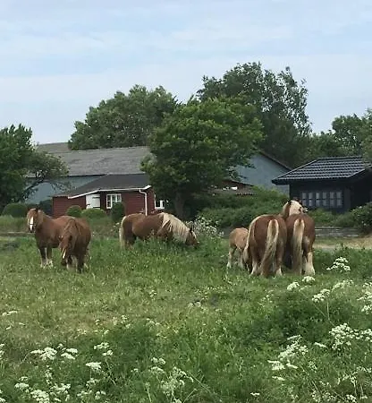 Skorstensfejerens Bed & Breakfast Bogense