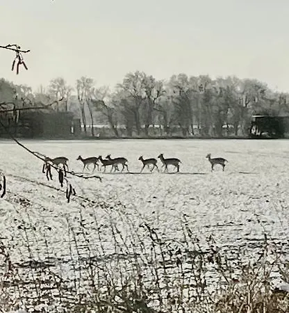 Skorstensfejerens Bed & Breakfast *
