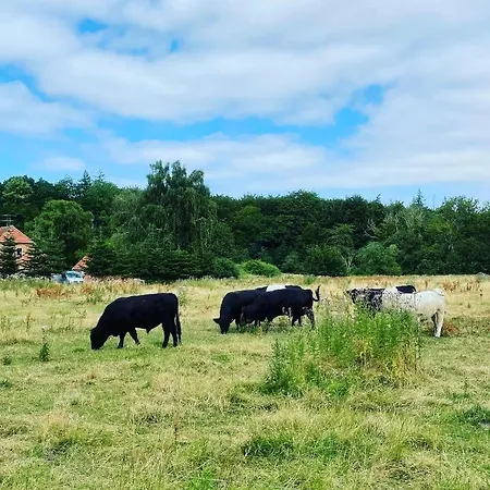 Bed and breakfast Skorstensfejerens Bogense