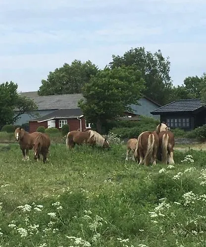 Skorstensfejerens Panzió Bogense