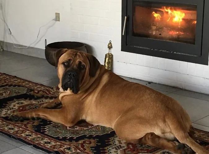 Skorstensfejerens Bed and Breakfast Bogense