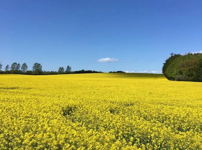 Skorstensfejerens Bed and Breakfast